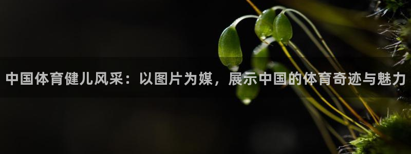 3377体育在线：中国体育健儿风采：以图片为媒，展示中国的体育奇迹与魅力