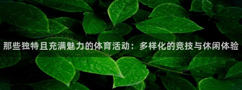 3377体育app官方下载：那些独特且充满魅力的体育活动：多样化的竞技与休闲体验