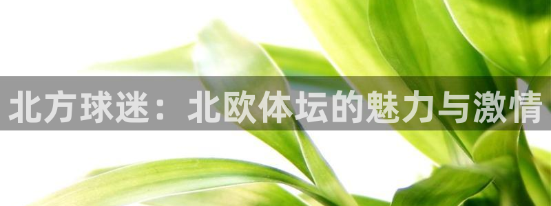 3377体育是正规平台吗：北方球迷：北欧体坛的魅力与激情