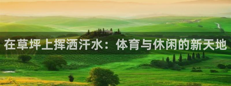 3377体育com：在草坪上挥洒汗水：体育与休闲的新天地