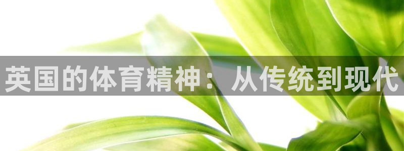 3377体育com：英国的体育精神：从传统到现代