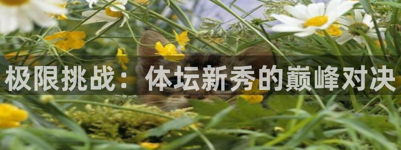3377体育靠谱吗：极限挑战：体坛新秀的巅峰对决