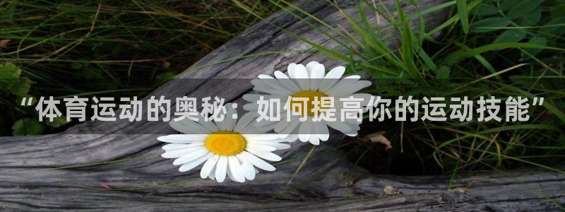 3377体育网页登录入口：“体育运动的奥秘：如何提高你的运动技能”