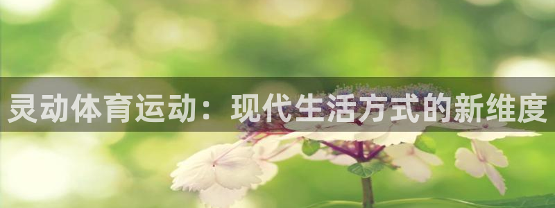 3377体育app登录入口：灵动体育运动：现代生活方式的新维度